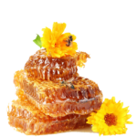 Пчелен восок